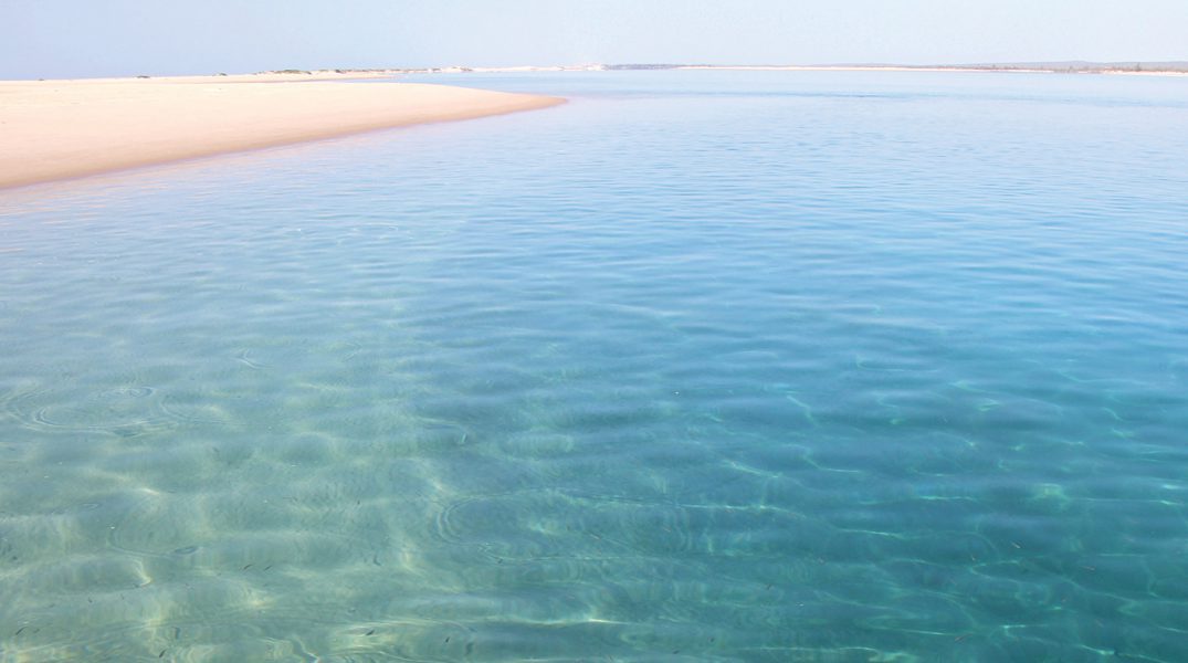 The Sanctuary Sea