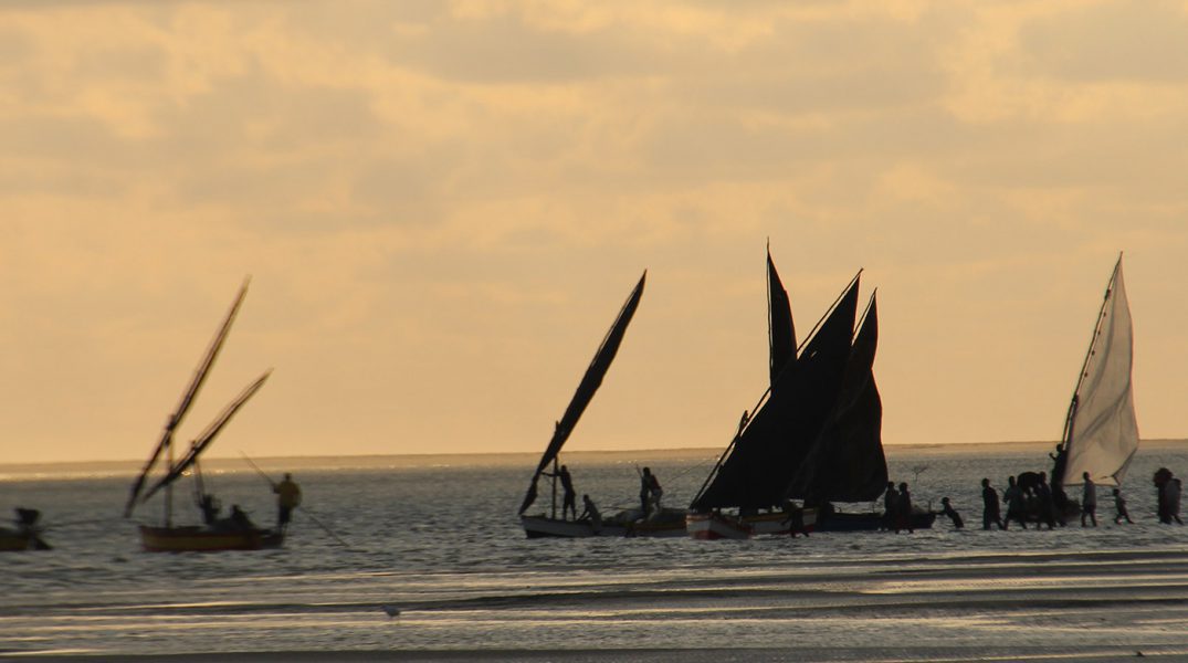 community boats