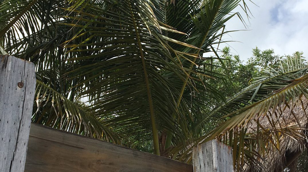 Dugong Lodge