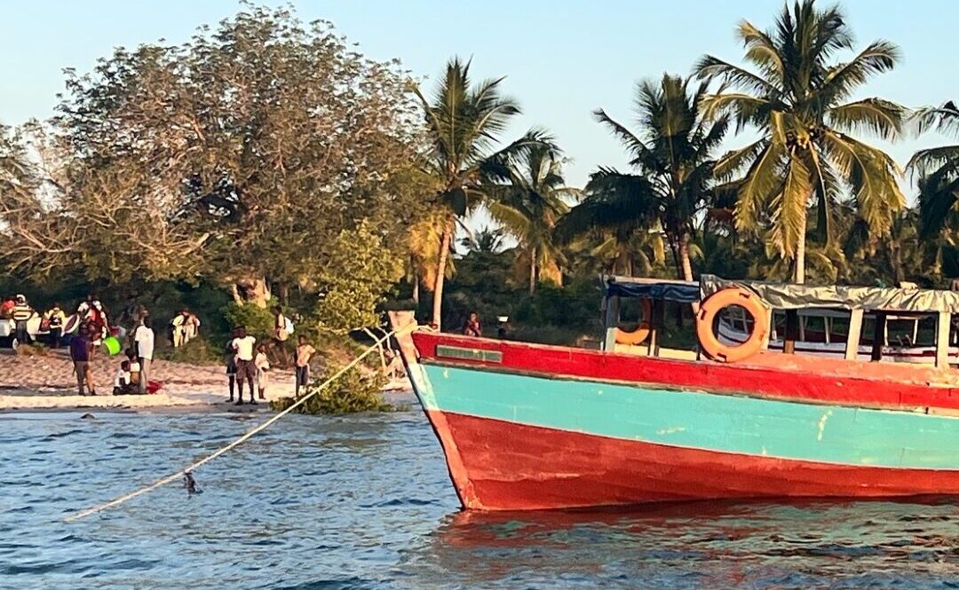 raízes azuís: a new phase for coastal stewardship